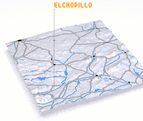 3d view of El Chopillo