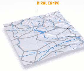 3d view of Miralcampo