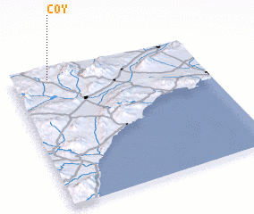 3d view of Coy