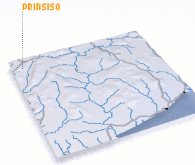 3d view of Prinsiso