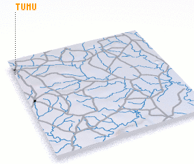 3d view of Tumu