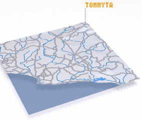 3d view of Tommyta