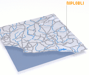 3d view of Niplobli