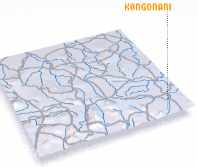 3d view of Kongonani