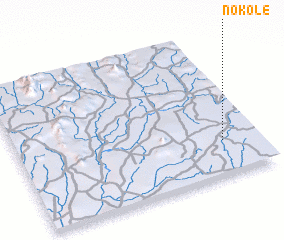 3d view of Nokole