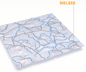 3d view of Niéléko