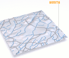 3d view of Wonita