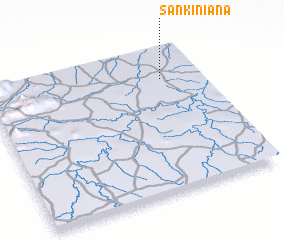 3d view of Sankiniana