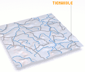 3d view of Tiémakolé