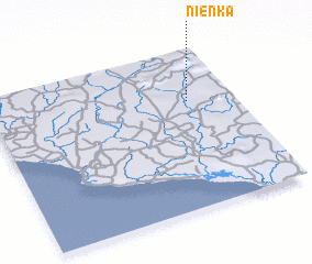 3d view of Nienka