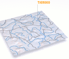 3d view of Tiémoko