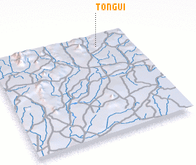 3d view of Tongui
