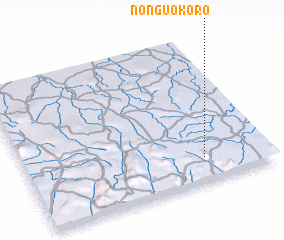 3d view of Nonguokoro