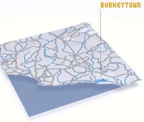 3d view of Borkey Town