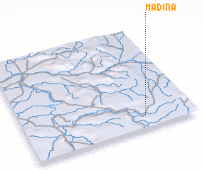 3d view of Madina