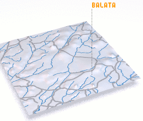 3d view of Balata