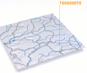 3d view of Tougounté