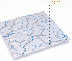 3d view of Madina