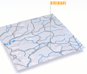 3d view of Biribari