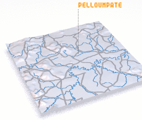 3d view of Pelloum Paté