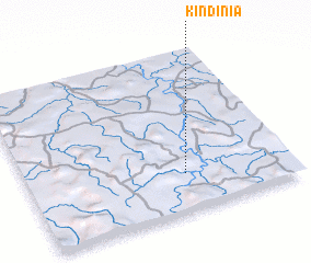 3d view of Kindinia