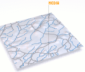 3d view of Media