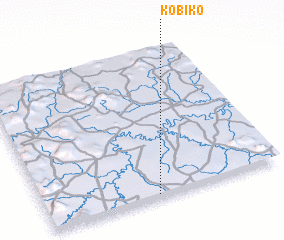 3d view of Kobiko
