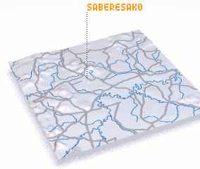 3d view of Sabéré Sako