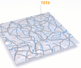 3d view of Toto