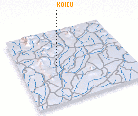 3d view of Koidu