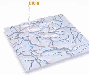 3d view of Dilia