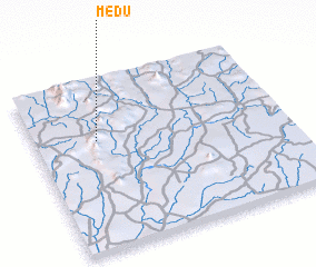 3d view of Medu