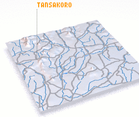 3d view of Tansakoro