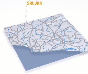 3d view of Saluna
