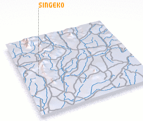 3d view of Singeko