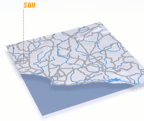 3d view of Sau