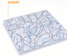 3d view of Kokero