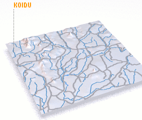 3d view of Koidu