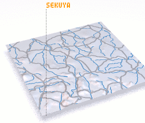 3d view of Sekuya