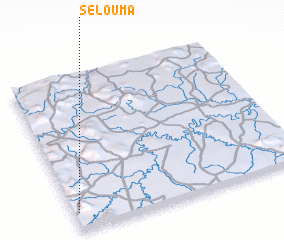 3d view of Selouma