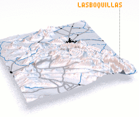 3d view of Las Boquillas