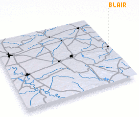 3d view of Blair