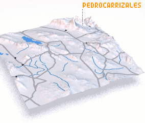 3d view of Pedro Carrizales