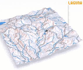 3d view of Laguna