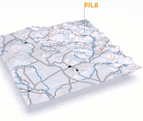 3d view of Pila