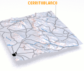 3d view of Cerrito Blanco