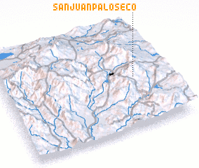 3d view of San Juan Palo Seco