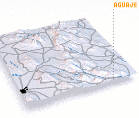 3d view of Aguaje