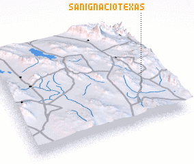 3d view of San Ignacio Texas