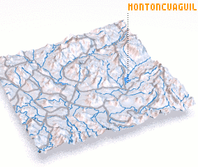 3d view of Montoncuaguil